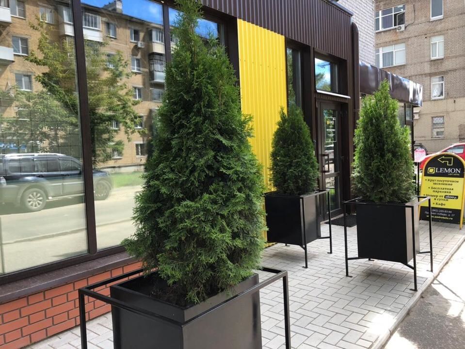 Отель Lemon Loft Тверь